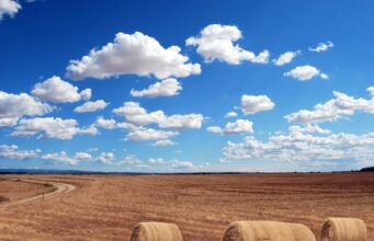 SUBVENCIJE U POLJOPRIVREDI: Vlada odvojila 109,6 milijardi