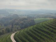 MEĐIMURJE: Kaskadni vinogradi, domaća hrana i beskrajne šetnje