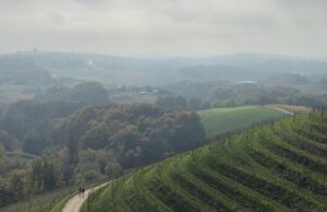 MEĐIMURJE: Kaskadni vinogradi, domaća hrana i beskrajne šetnje