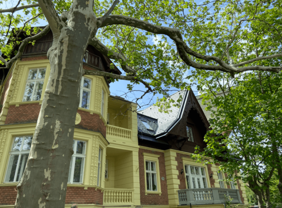 Baden vila, Foto- Globalna mreža.rs