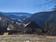 Zlatibor, Kopaonik i Vrnjačka Banja najposećenije destinacije tokom praznika