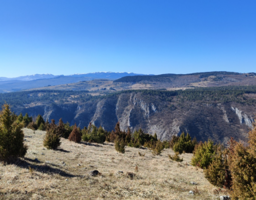 Zlatar i Uvac: Destinacija za vikend beg