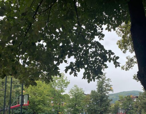 PRIJEPOLJE, GRAD ŠAMPIONA: Ovi sportisti su svetom pronosili slavu svog kraja